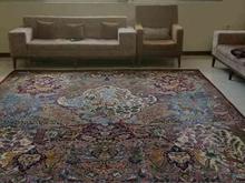 فرش دستباف شکاری کاشان 12متر در شیپور