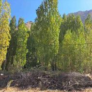 زمین مسکونی 240 متربلده.روستای کلیک