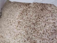 برنج هاشمی دورود لرستان، خالص در شیپور