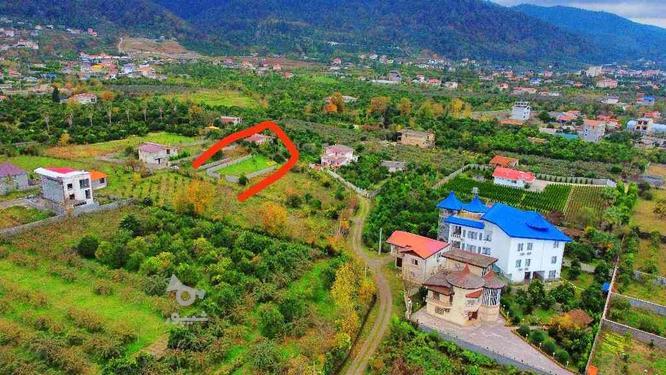 فروش زمین مسکونی 400 متر در طالش محله در گروه خرید و فروش املاک در مازندران در شیپور-عکس1
