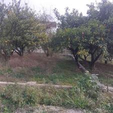 فروش زمین مسکونی 200 متر در تنگ لته