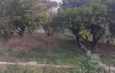 فروش زمین مسکونی 200 متر در تنگ لته