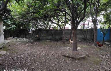 فروش خانه و کلنگی 517 متر در نارنج بن