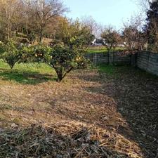 زمین 500متری بافت سانخیل