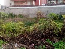 فروش زمین مسکونی 310 متر با سند در بلوار شیرودی در شیپور