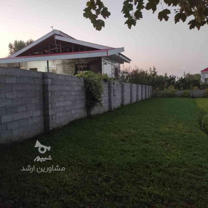 زمین ویلایی 410متری/مسکونی سنددار در گروه خرید و فروش املاک در گیلان در شیپور-عکس1