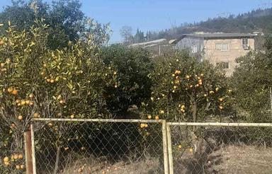 فروش زمین مسکونی 455 متر در تنگ لته