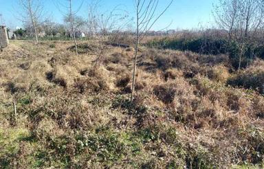 زمین مسکونی 500 متر درمنطقه توریستی حسین آباد