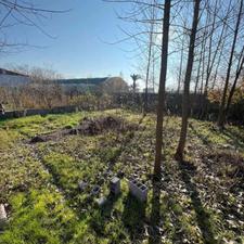 فروش زمین باغی واقع در طرح هادی نزدیک اتوبان چمخاله