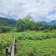 هزار متر زمین پلاک یک جنگل ، تفریحی توریستی کلارآباد