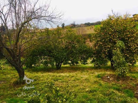 فروش زمین کشاورزی 200 متر در تنگ لته در گروه خرید و فروش املاک در مازندران در شیپور-عکس1