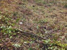 فروش زمین مسکونی 375 متر در سرچشمه در شیپور