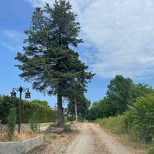 فروش زمین2000 متری چلک با سند و جواز ساخت