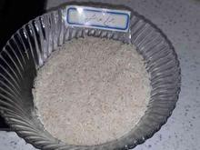 انواع برنج های شیرودی هاشمی علی کاظمی در شیپور