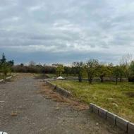 فروش زمین 200 متر در گلیجان علی آباد شهرک