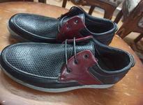 کفش مردانه نو سایز 42 در شیپور-عکس کوچک