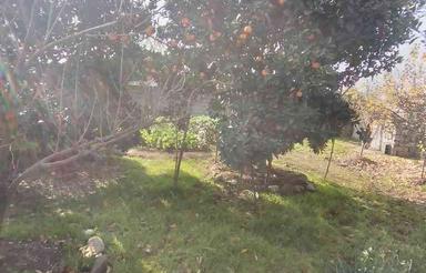 فروش زمین مسکونی 305 متر در رامدشت