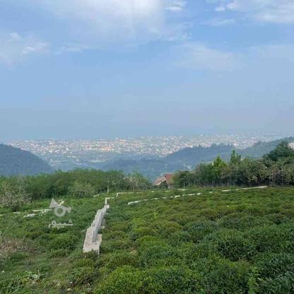 فروش زمین 2400 متر در اربکله در گروه خرید و فروش املاک در مازندران در شیپور-عکس1