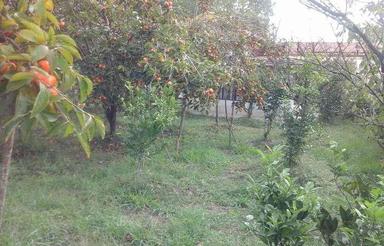 ویلا100متری با محوطه در دموچال لاهیجان