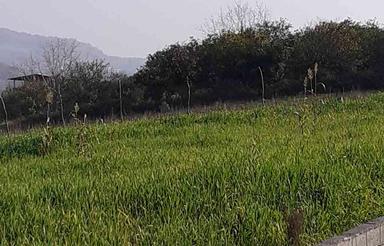 فروش زمین مسکونی 300 متر در تنگ لته