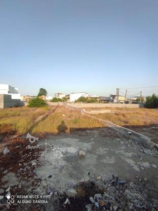 زمین تجاری مسکونی ولیعصر 364 متر در گروه خرید و فروش املاک در مازندران در شیپور-عکس1