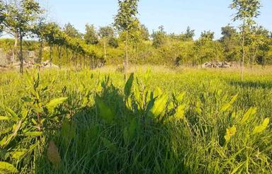 پلاک 218 متر شهرکی زمین