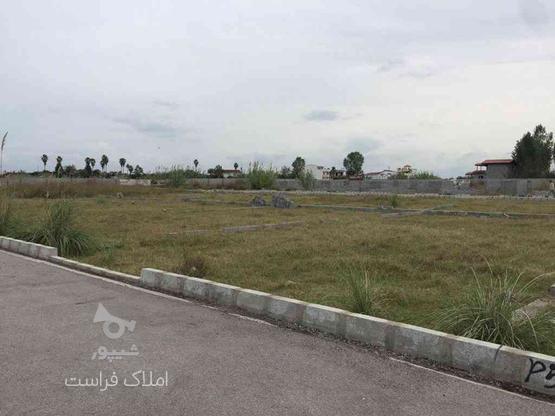 فروش زمین مسکونی 200 متر در حاجی کلا در گروه خرید و فروش املاک در مازندران در شیپور-عکس1