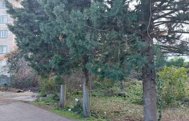 زمین مسکونی 500 متری در مرکز شهر رامسر