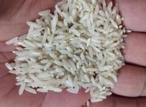 برنج درجه یک بهنام،کیلویی در شیپور-عکس کوچک