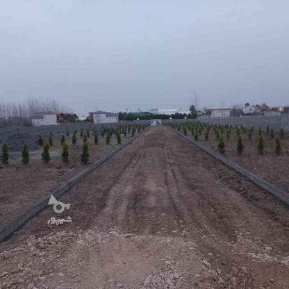 زمین قابل ساخت زیرقیمت منطقه اکازیون 160متر در گروه خرید و فروش املاک در مازندران در شیپور-عکس1