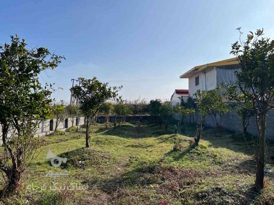 فروش زمین مسکونی 508 متر تنکابن در گروه خرید و فروش املاک در مازندران در شیپور-عکس1