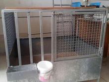 قفس لاری و سگ در شیپور