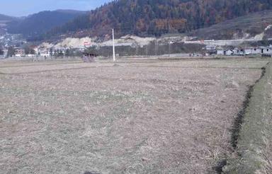 زمین کشاورزی 600 متر در کردآباد زیراب
