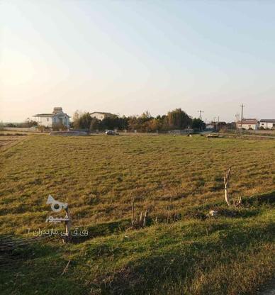 فروش زمین کشاورزی 2000 متر در کلوده  در گروه خرید و فروش املاک در مازندران در شیپور-عکس1