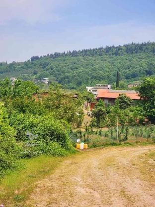 زمین کوهستانی شهری 250 متر وارد محله در گروه خرید و فروش املاک در مازندران در شیپور-عکس1
