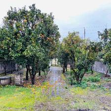 فروش کلنگی 575متر سندتکبرگ نزدیک جاده بابل