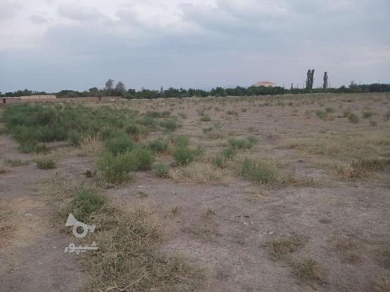 زمین ویلایی 4000 متر در گروه خرید و فروش املاک در آذربایجان شرقی در شیپور-عکس1