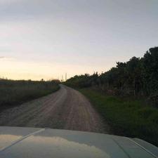 فروش زمین کشاورزی 11500 متر در بایع کلا