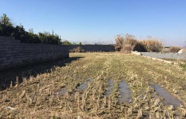 زمین مسکونی 750 متری در بالا احمدچاله پی