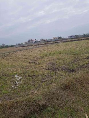 فروش زمین کشاورزی نزدیک ساحل7000 متر در محدوده بابلسر چپکرود در گروه خرید و فروش املاک در مازندران در شیپور-عکس1
