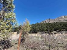 زمین باغی 300 باقر آباد رامیان در شیپور