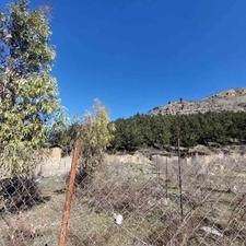 زمین باغی 300 باقر آباد رامیان