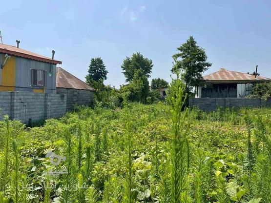 زمین مسکونی با کوچه 8متری اختصاصی 400 متر در گروه خرید و فروش املاک در گیلان در شیپور-عکس1