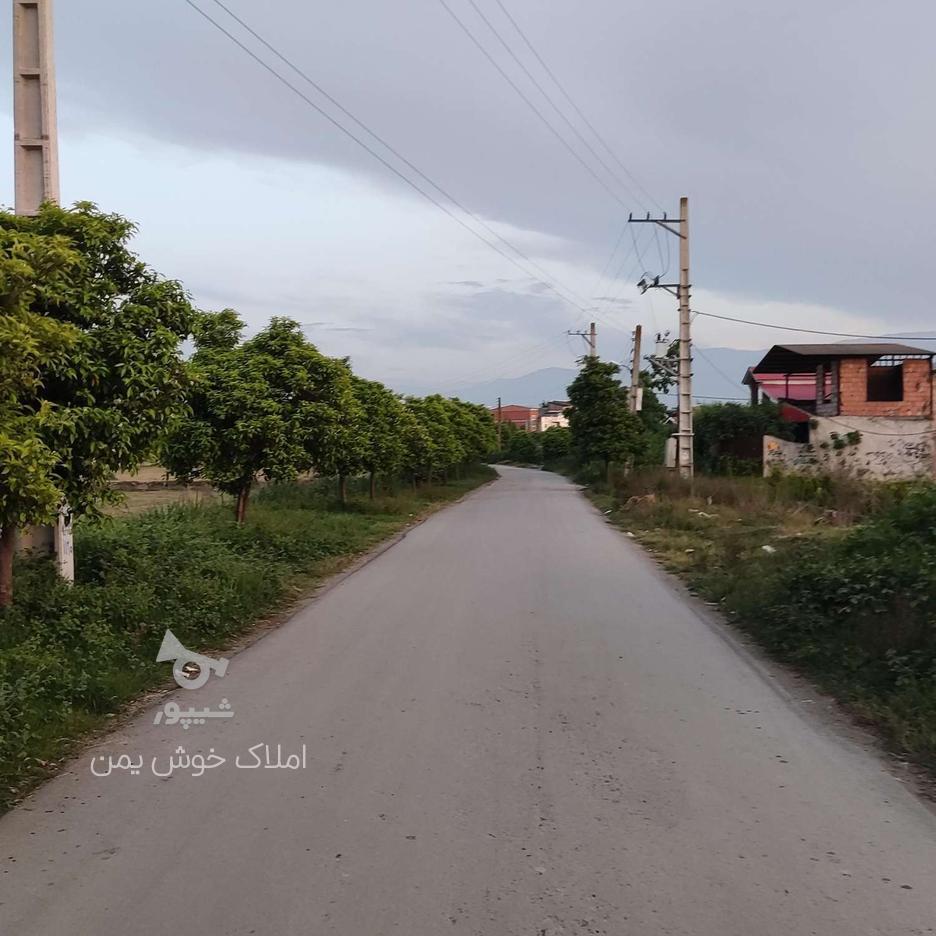 زمین مسکونی 442 متر روستای زیبای طلارم در گروه خرید و فروش املاک در مازندران در شیپور-عکس1