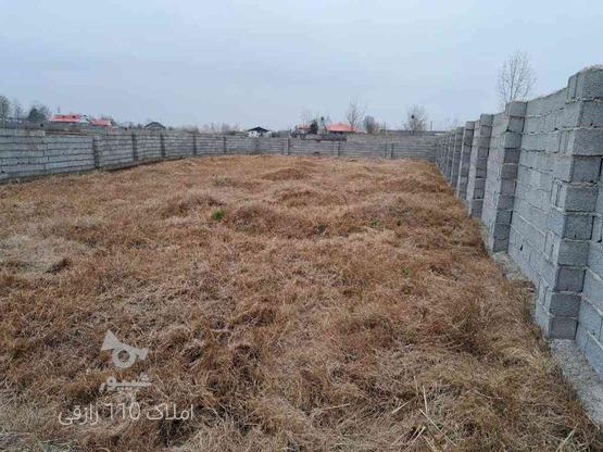 500 متر زمین دیوار شده نزدیک آسفالت در کوچصفهان رشت در گروه خرید و فروش املاک در گیلان در شیپور-عکس1