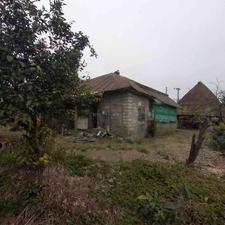 خانه و محوطه 440 متری در سالومحله