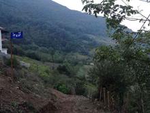 279 متر زمین چشم انداز عالی سند 6 دانگ 2000 در شیپور