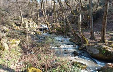 فروش زمین 2400 متر چلاو دل جنگل و لب رودخانه