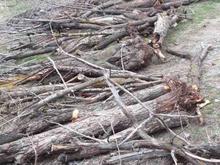 هیزم چوب طالقان در شیپور