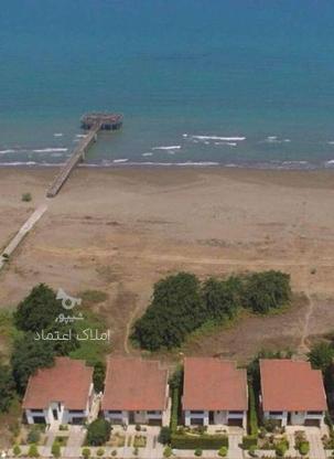 فروش زمین ساحلی 305 متر در شهرک قناری در گروه خرید و فروش املاک در مازندران در شیپور-عکس1